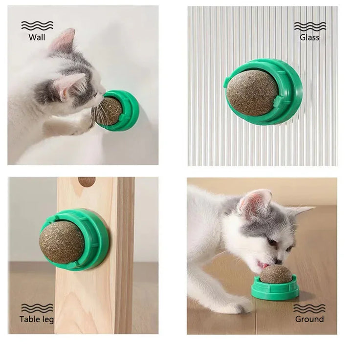 Catnip Cat Wall Stick-On Ball Toy Scratchers Treats Healthy Natural Removes Balls to Promote Digestion Cat Grass Snack